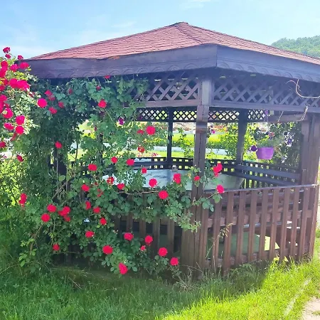 елит Кирково